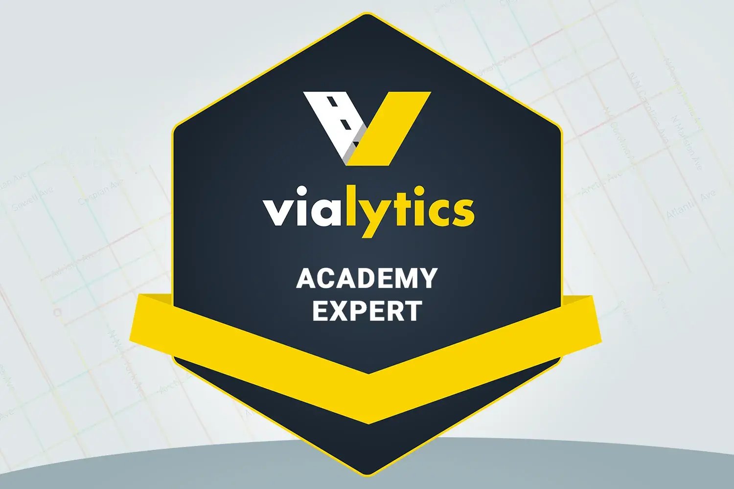 Academy-experts-badge